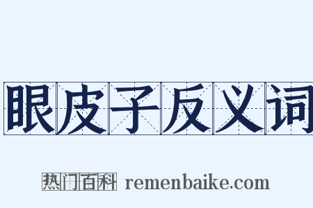 眼皮子反义词是什么意思的图片